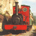 A Narrow Gauge Loco